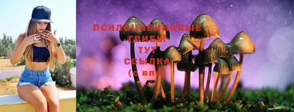 PSILOCYBIN Балахна