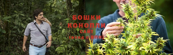 PSILOCYBIN Балахна