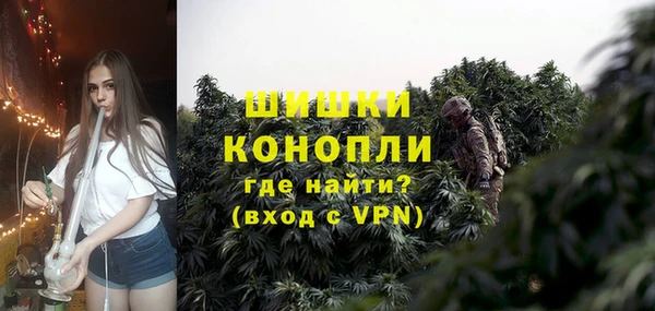 PSILOCYBIN Балахна