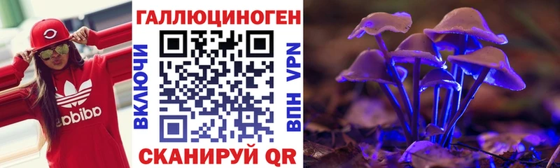 где купить   Бор  Псилоцибиновые грибы GOLDEN TEACHER 